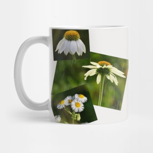 Daisy Daisy Photography Mug